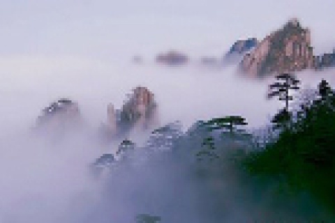 bbin·宝盈(中国)集团官方网站首页