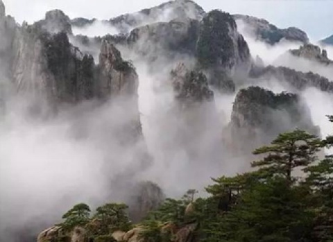 bbin·宝盈(中国)集团官方网站首页