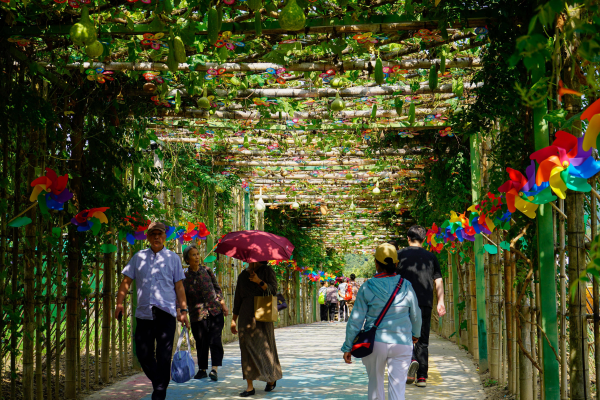 bbin·宝盈(中国)集团官方网站首页